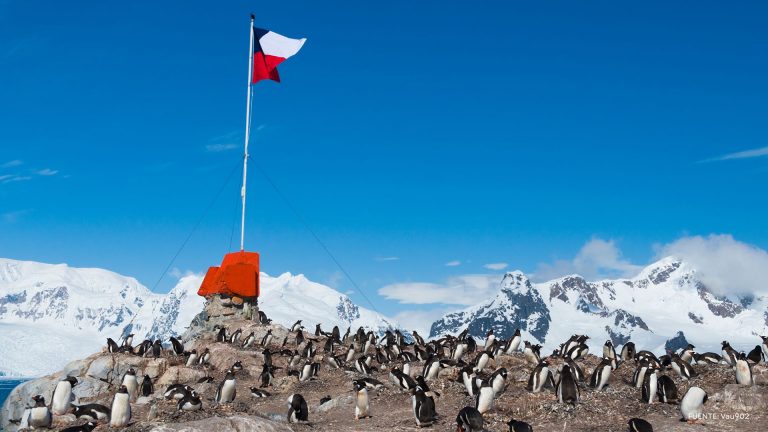 Investigan por primera vez cómo la contaminación lumínica y el calentamiento global afectan la Antártica