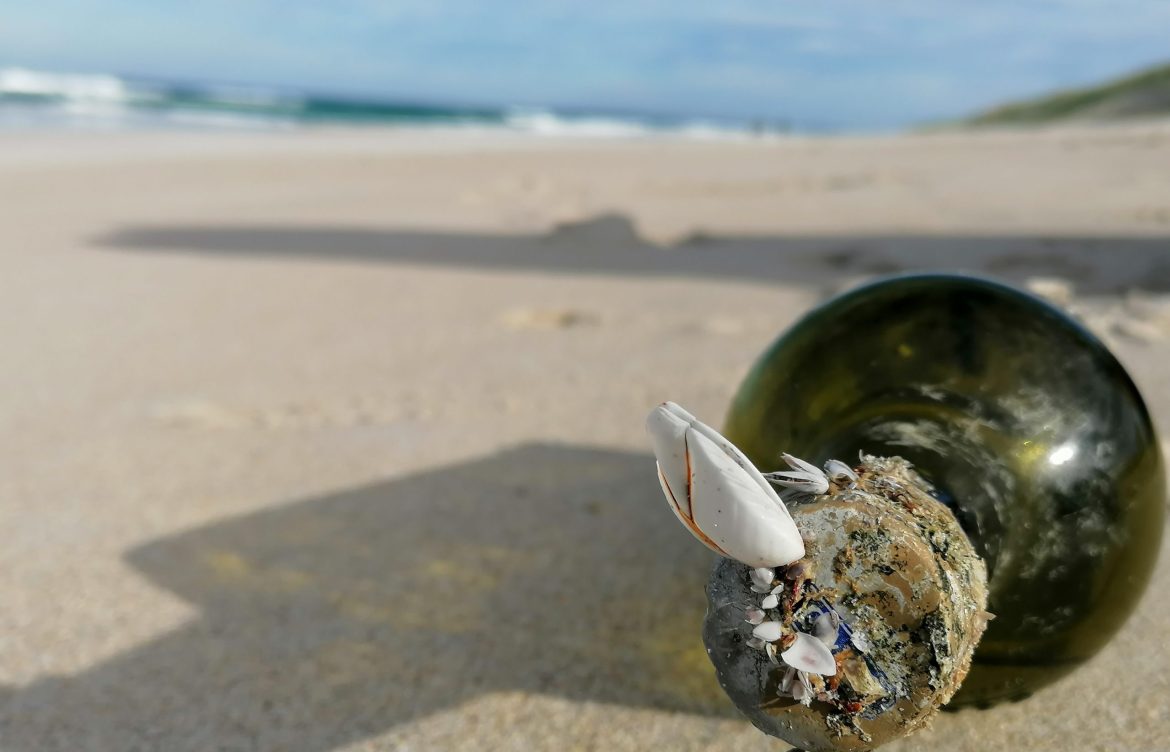 Investigación rastreará cómo la basura marina transporta especies por el Pacífico