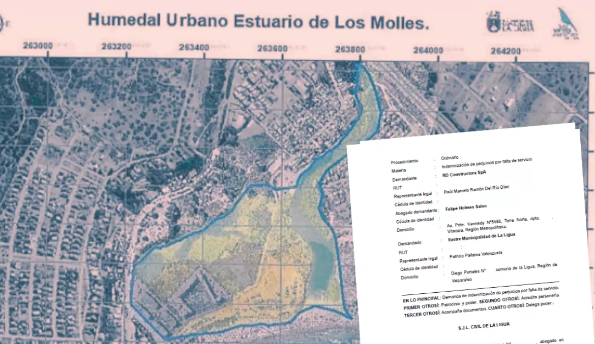 [BioBioChile] Más de $4 mil millones en daños: la trama de paralizaciones tras demanda por humedal urbano
