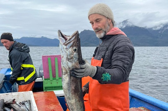 [CodexVerde] Pescadores artesanales de Aysén y Los Lagos se unen para exigir plan de recuperación de la merluza austral