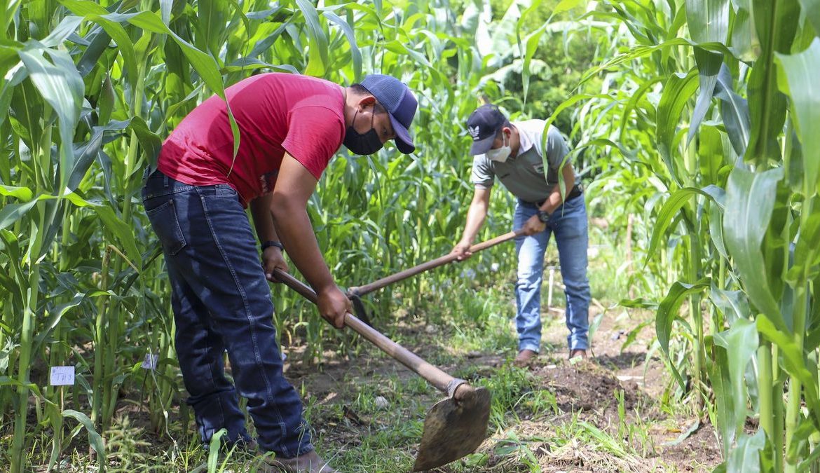 [Mongabay] Cumbre mundial clave sobre desertificación: Latinoamérica llega a la COP17 entre sequías, El Niño y presión por producir alimentos
