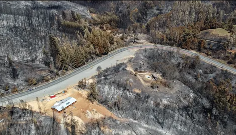 [El Desconcierto] Anuncian $9800 millones para recuperar bosque nativo y plantaciones forestales quemadas en incendios de Biobío