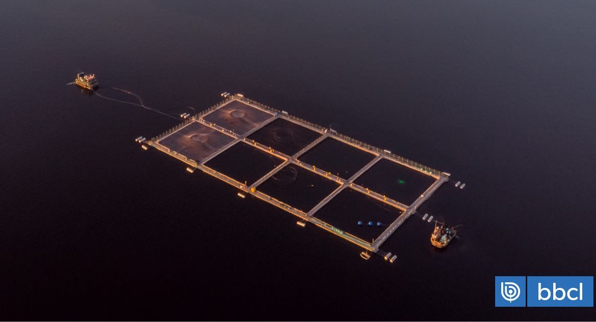 [BioBioChile] CORE de Los Ríos analizará proyecto de piscicultura en río San Pedro para emitir postura institucional