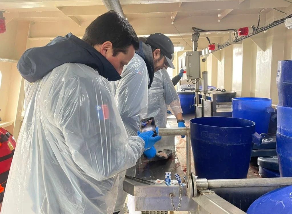 [País Lobo] Virus ISA en Aysén: Sernapesca fiscaliza centro de cultivo de Salmones Camanchaca