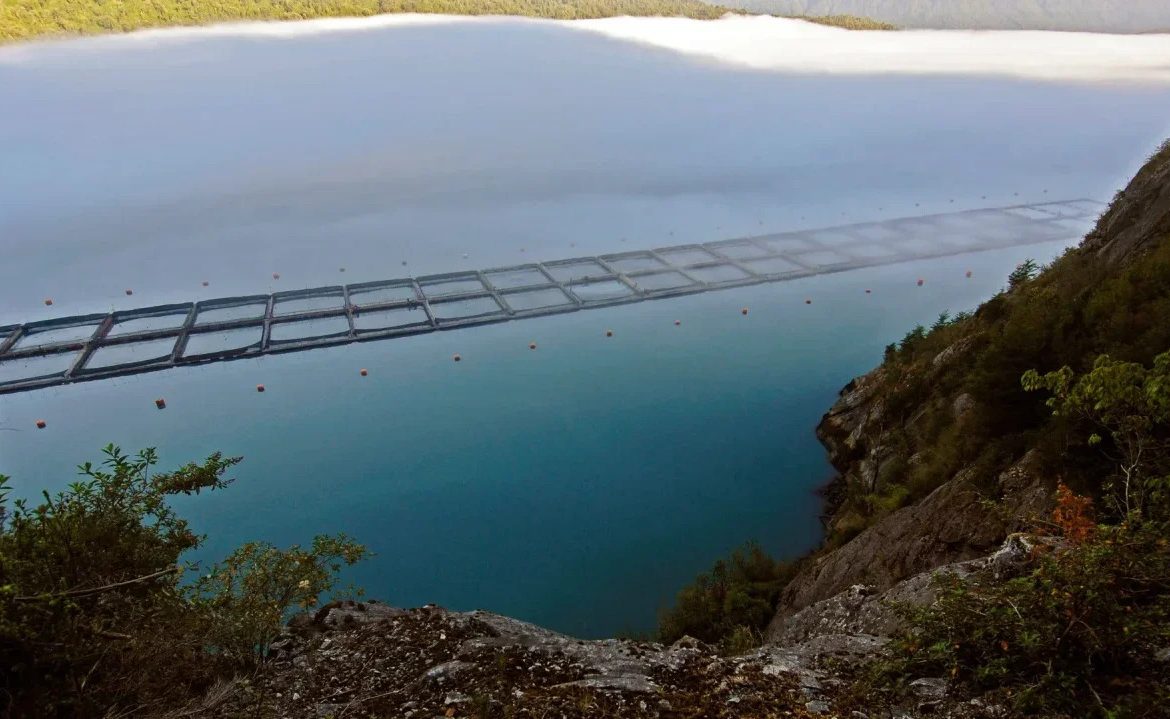 [Diario Sostenible] Tribunal ordena a Superintendencia del Medio Ambiente revisar denuncias por proyecto salmonero en Los Lagos