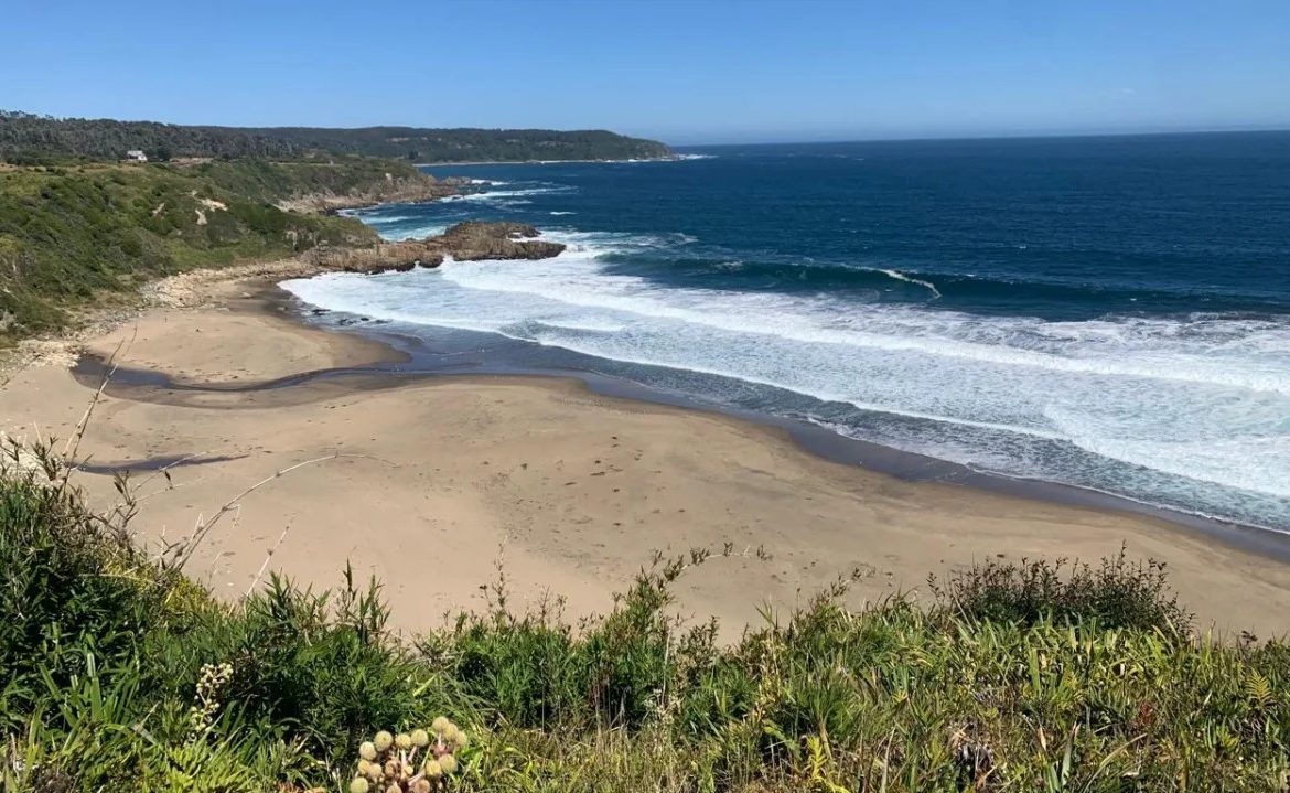 [Diario Sostenible] Nuevo hito para la conservación: alistan inauguración de refugio marino en la costa de Corral