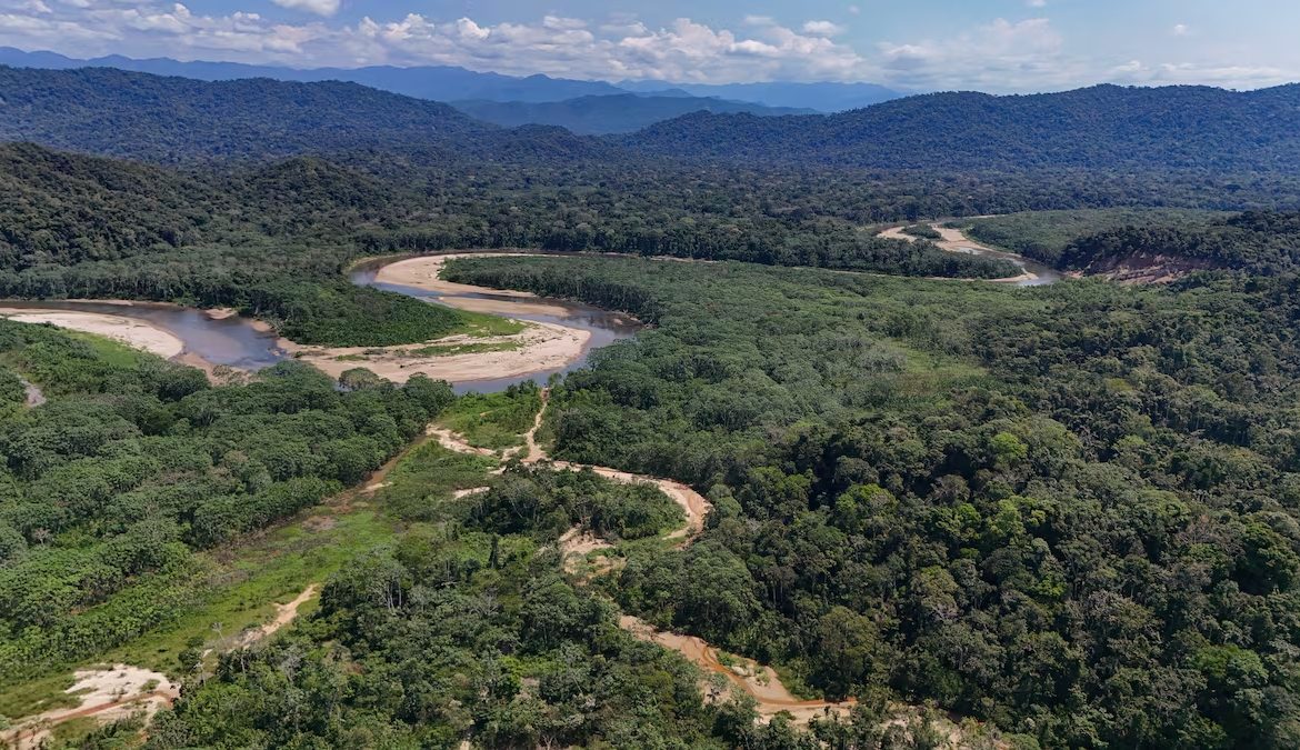 [El País] Los cultivos ilegales de coca avanzan sobre el Tipnis, el cuarto parque nacional más grande de Bolivia