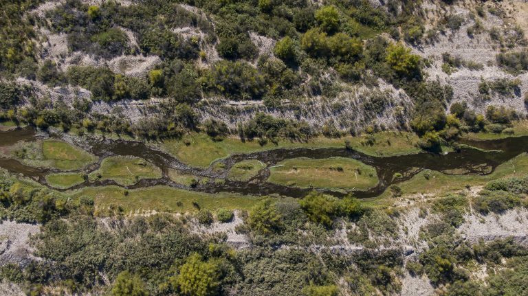 [Cooperativa] Lanzan Circuito Costero Freirina – La Higuera: La ruta birregional que une biodiversidad y patrimonio
