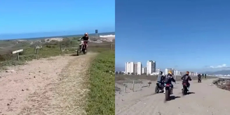 [El Desconcierto] Acusan a motoqueros de destruir nidos y aplastar polluelos tras ingreso a humedal Río Elqui