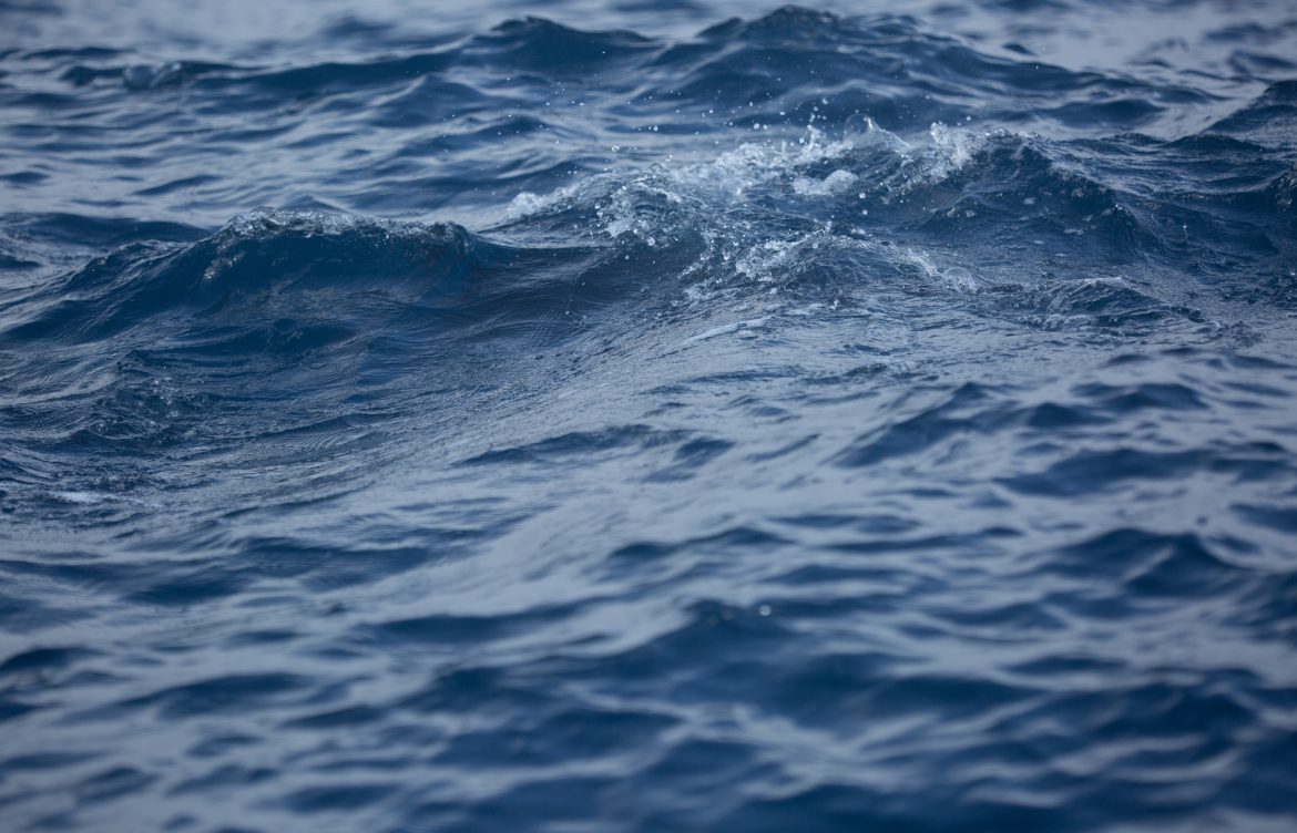 [Cooperativa Ciencia] Estudian el estado ambiental del Golfo de Arauco y el potencial de sus especies marinas