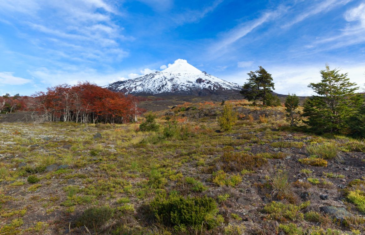 [Ladera Sur] El 87% de los chilenos pide acción del Gobierno para la crisis climática en políticas públicas, según reciente encuesta
