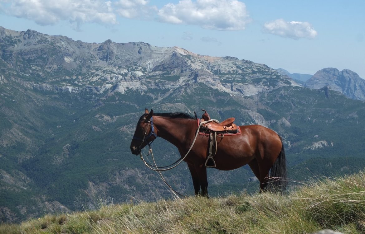 [El Desconcierto] Gobierno del Ñuble compra 2.700 hectáreas de montaña para crear área protegida y desarrollar el turismo