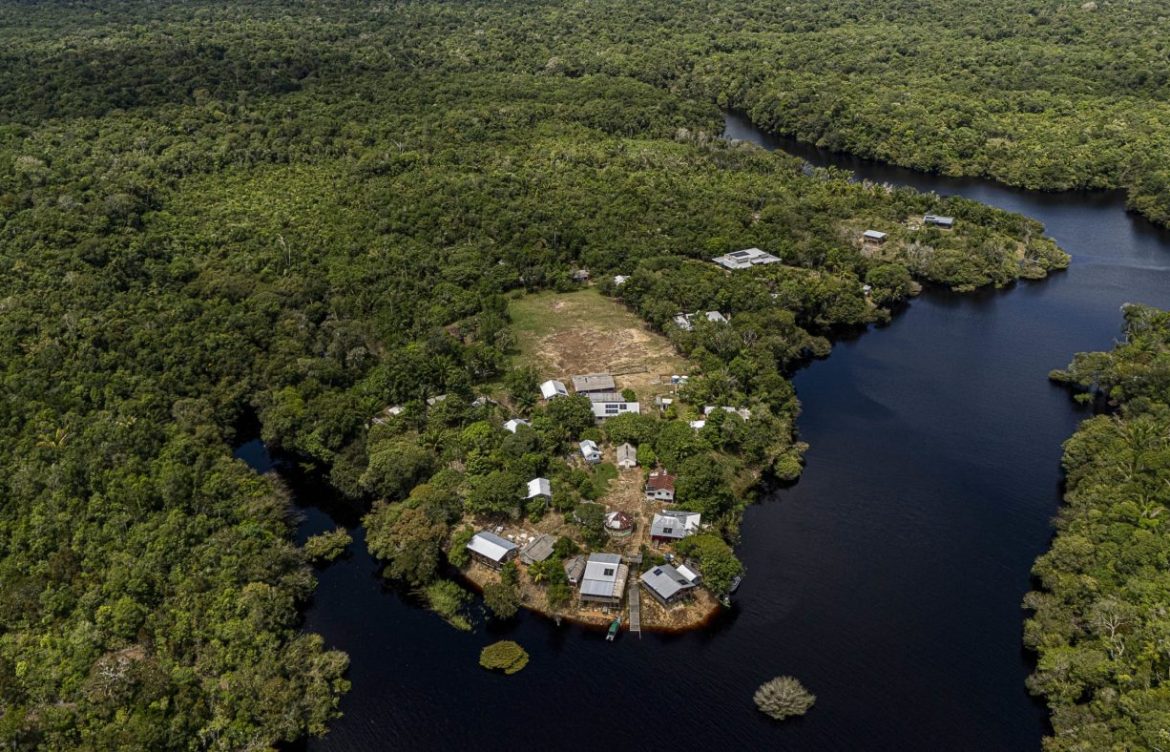 [Dialogue Earth] COP17: ¿Pueden los países repartir los beneficios de los datos digitales de la naturaleza?