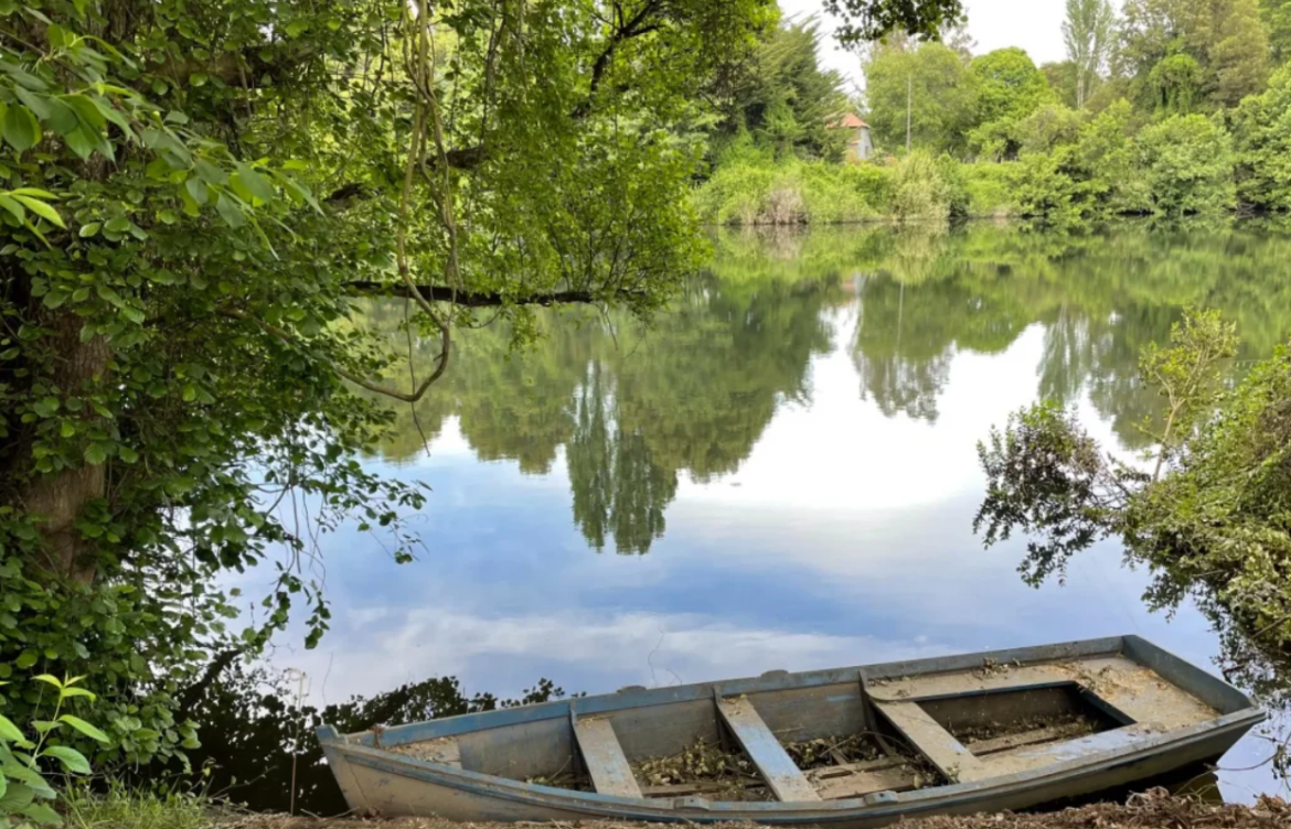 [Diario Sostenible] Avanza elaboración de Norma Secundaria de Calidad Ambiental de la cuenca del río Rahue