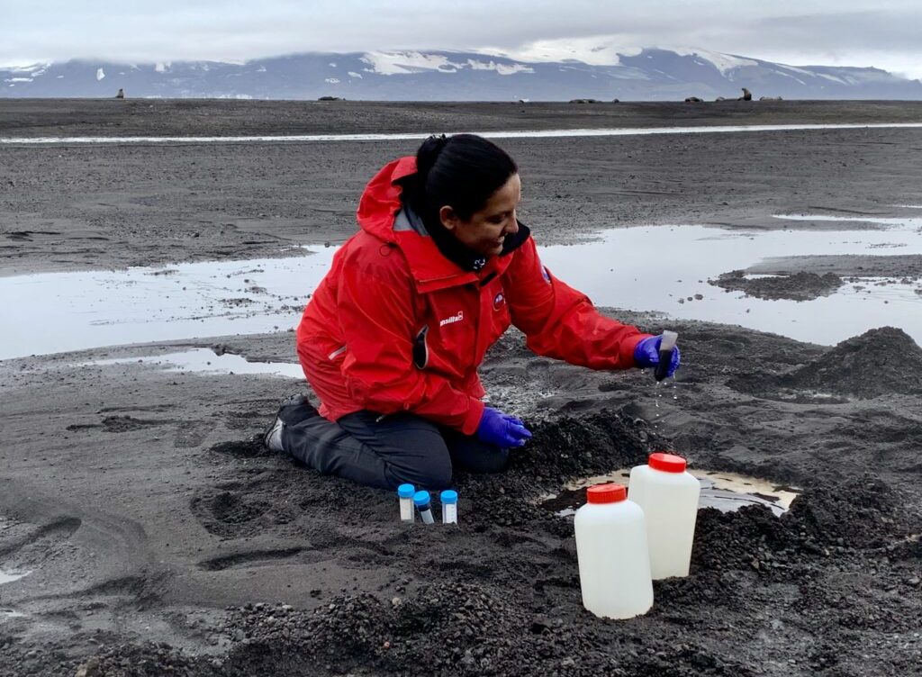 [Cooperativa Ciencia] Microorganismos regeneran la vida tras la erupción volcánica en isla Decepción en la Antártica